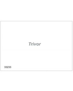 33233 - Sticker Trivor zilver